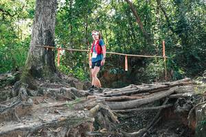 BIB: 
                            <button type="button" onclick="openModal(27744193)" class="btn btn-primary btn-sm float-right btn-popup" data-toggle="modal" data-target=".modal-high-quality">
                        <i class="fas fa-shopping-cart"></i> Add to Cart
                    </button>
                                            <button type="button" onclick="isThisMe(27744193, true)" class="btn btn-success btn-sm float-right btn-popup btn-isme hidden" data-toggle="tooltip" data-placement="bottom" title="นี่คือรูปของคุณใช่ไหม คลิกที่นี่เพื่อเอาเข้าอัลบั้ม">
                        <i class="fas fa-plus"></i> Add to album
                    </button>
                    <button type="button" onclick="isThisMe(27744193, false)" class="btn btn-warning btn-sm float-right btn-popup btn-isnotme hidden">
                        <i class="fas fa-ban"></i> Remove from album
                    </button>